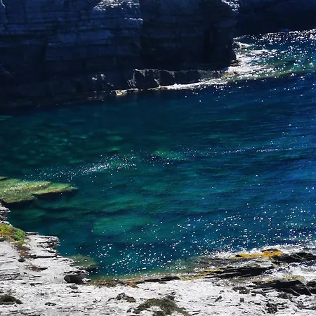 Maga ستينتينو